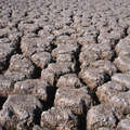 Het leefgebied van de Ayoreo-Totobiegosode is opgekocht door boeren. Veel van de waterbronnen van de stam zijn sindsdien opgedroogd. &copy; Survival International