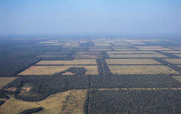 Ein Großteil des Landes der Ayoreo Totobiegosode ist abgeholzt worden, Paraguay