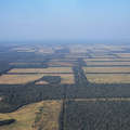 Een groot deel van het leefgebied van de Ayoreo-Totobiegosode wordt ontbost, Paraguay.
 &copy; Survival International