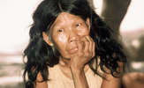 Par-ayo-rs-40_thumb