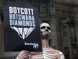 Survival is calling for a boycott of Botswana diamonds
until the Bushmen are allowed water