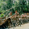 During the fishing season, Enawene Nawe men build wooden dams to catch fish, Brazil. &copy; Fiona Watson/Survival
