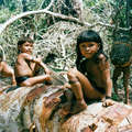 Every year for two months Enawene Nawe children help their fathers trap fish in large baskets at the fishing dams. The fish are smoked in fishing camps built next to the dams. Brazil. &copy; Fiona Watson/Survival