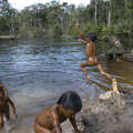 Enawene Nawe children play games in the river by their village, Halataikwa, Brazil.
 &copy; Fiona Watson/Survival