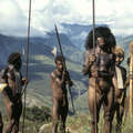 Irian Jaya, 1991
Baliem Vallei
Dani mannen &copy; Jeanne Herbert/Survival