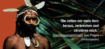 Nachrichten über die Völker von Papua Survival International