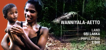 Wanni_original