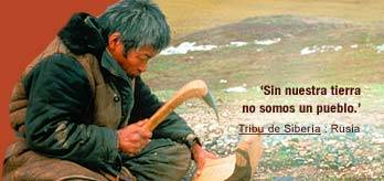 Es-tribusiberia_cropped