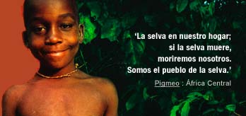 Es-pigm_original