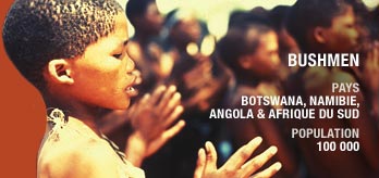 Fr-bushmen_original