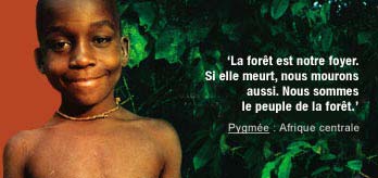 Fr-pygmee_original