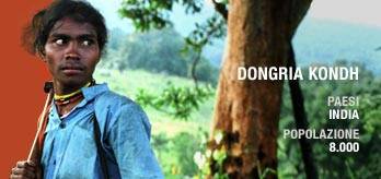 It-dongria_cropped