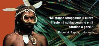 It-papuasi-q_cropped