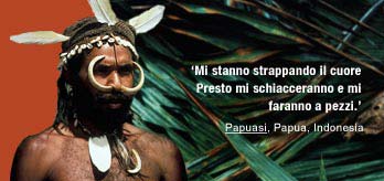It-papuasi-q_original