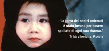 It-tribusiberiana-q_original