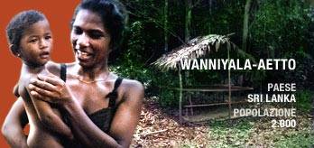 It_wann_cropped