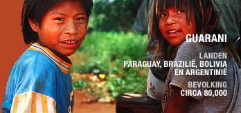 Nl-guarani-pr_original