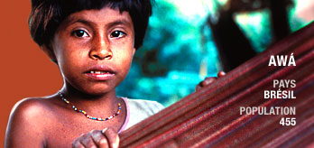 Tribal_awa_fr_original