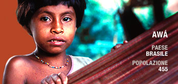 Tribal_awa_it_original