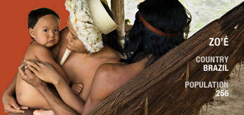 Tribalh_zoe_eng_cropped