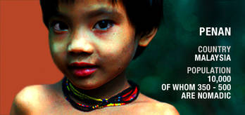 Penan-profile_cropped