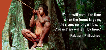 Palawan_quote_cropped