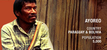 Ayoreo-profile_cropped