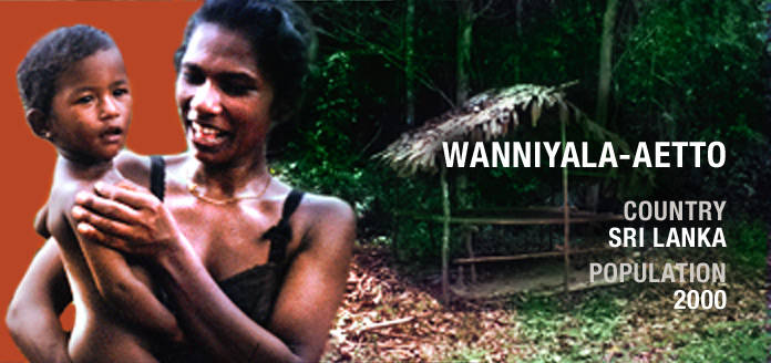 Wanniyala-profile_cropped