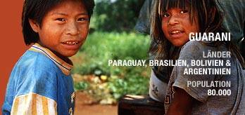 Guarani Survival International