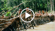 Way-of-life-thumb_widescreen_medium_small_play