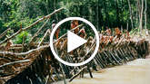 Way-of-life-thumb_widescreen_small_play