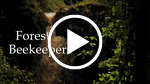 Forest Beekeepers