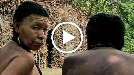 Uncontacted-tribes-conclusion-thumb_460_wide_play