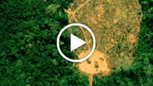 Uncontacted-tribes-brazil-thumb_widescreen_medium_small_play
