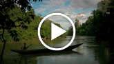 Stranger-in-the-forest-thumb_widescreen_small_play