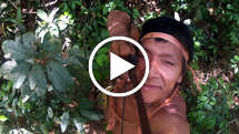 Hunting-cam-thumb_widescreen_medium_small_play