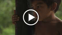 Thank-you-film-thumb_widescreen_medium_small_play