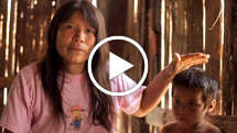 Matsés