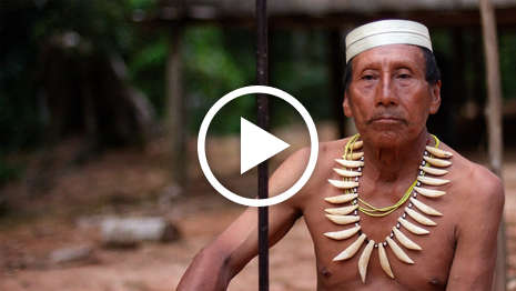 Uncontacted-matses-thumb_widescreen_medium_large_play
