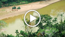 Teodoro-uncontacted-sighting-thumb_widescreen_medium_small_play
