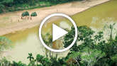 Teodoro-uncontacted-sighting-thumb_widescreen_small_play