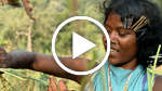 'We live for our Niyamgiri'