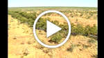 Sacred Sites