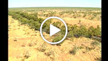 Heilige plaatsen in Australië