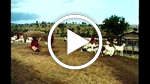 Aborigines meet the Maasai