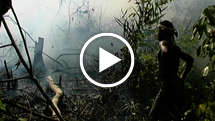 Swidden-farming-thumb_widescreen_medium_small_play