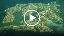 Penan-intro-thumb_widescreen_medium_small_play