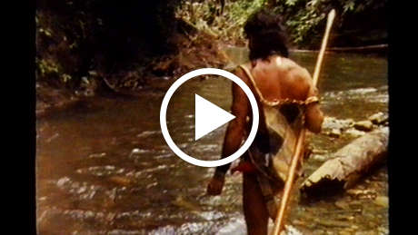 Penan-archive-thumb_460_wide_play