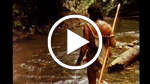 An Appeal from the Penan