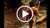 Penan-archive-thumb_widescreen_small_play